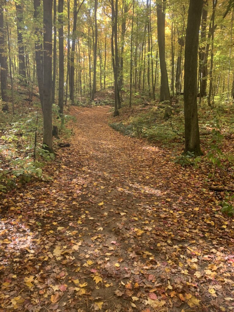 Hardwood Trail